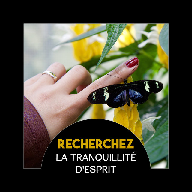 Recherchez la tranquillité d'esprit (Musique de méditation apaisante, Sons de la nature plein d'harmonie et de spiritualité)