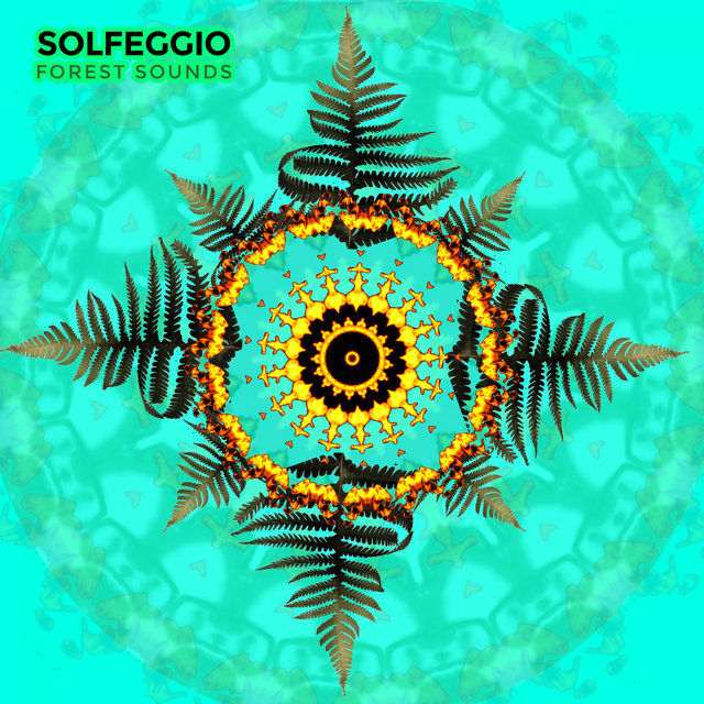 Solfeggio Forest Sounds