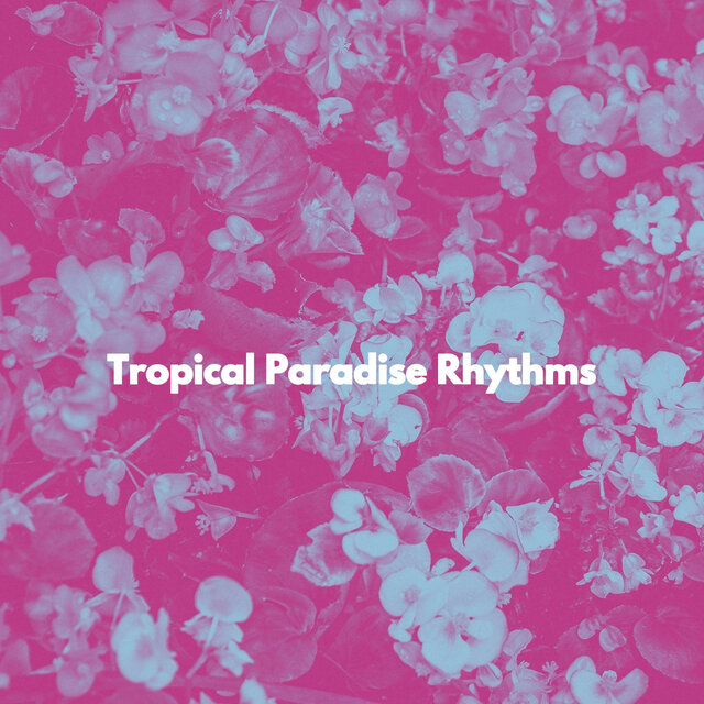 Tropical Paradise Rhythms