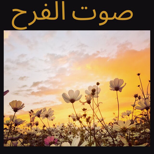شيلة دلال