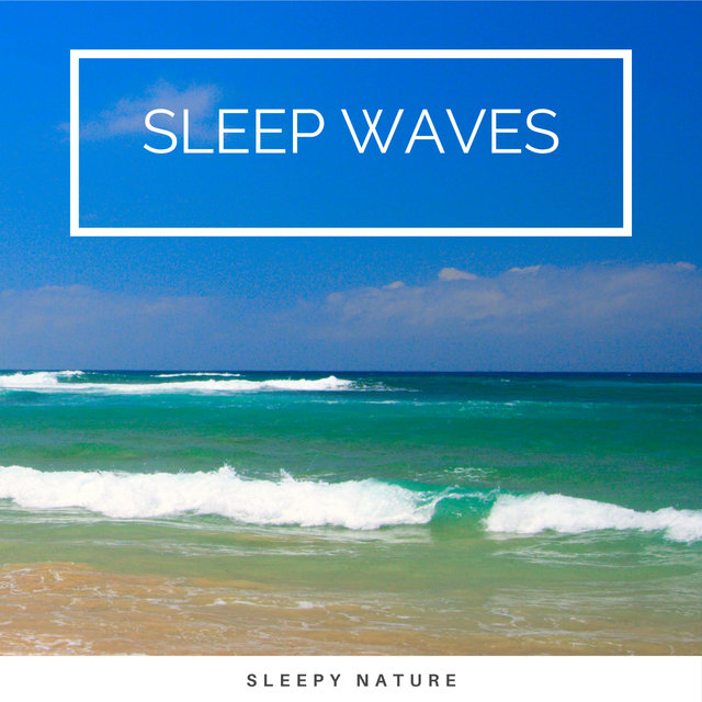 2022 Sleep Waves