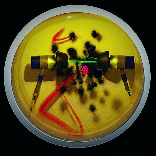 Holobion