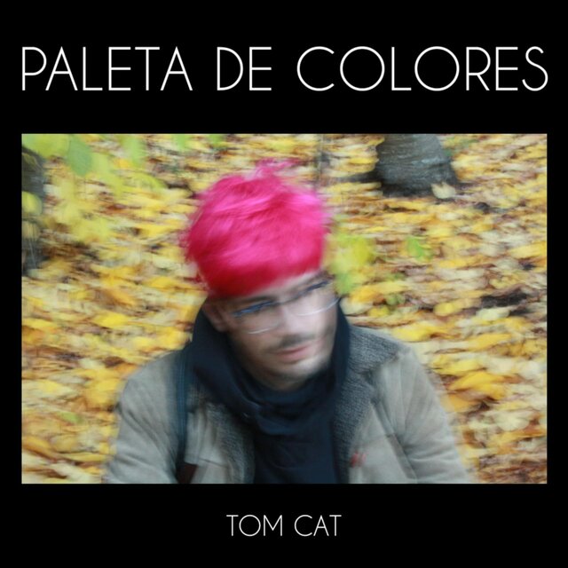 Paleta de colores