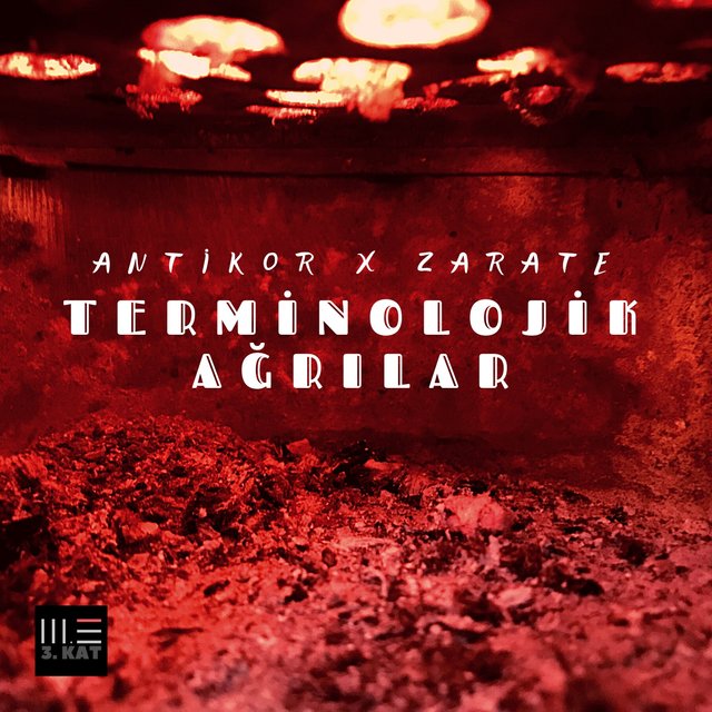 TERMİNOLOJİK AĞRILAR