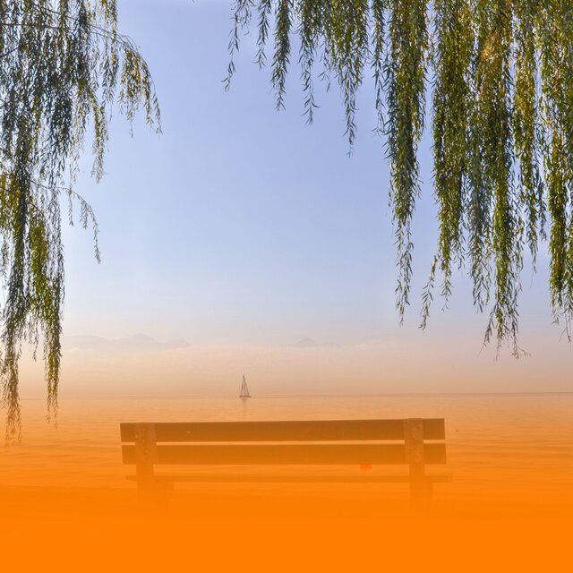 Deep Healing Wellness Music For Relaxation And Meditation