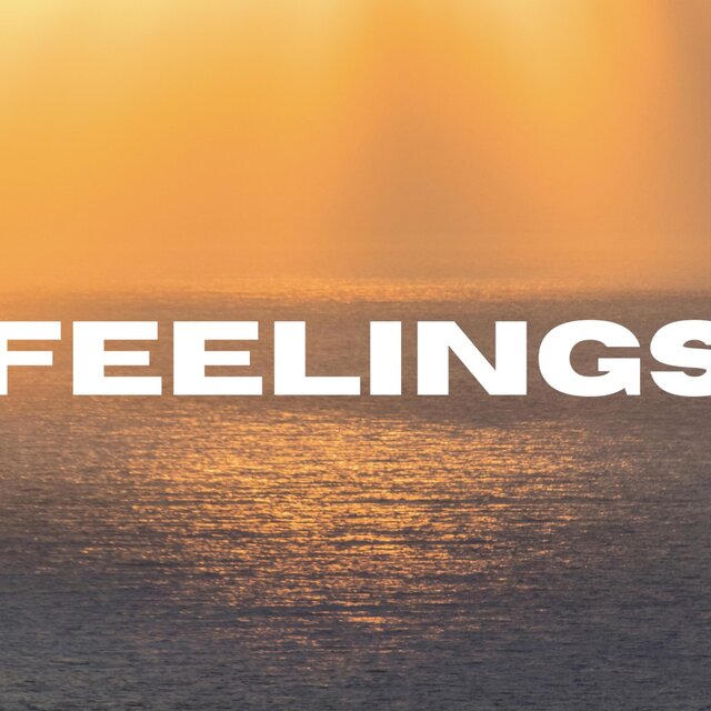 FEELINGS