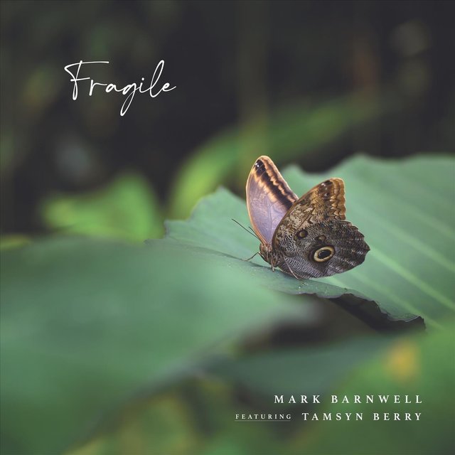 Fragile