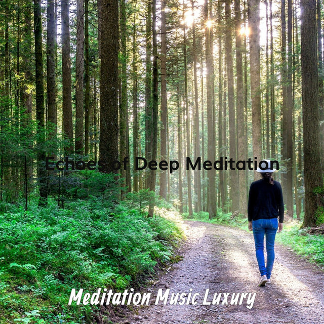 Echoes of Deep Meditation