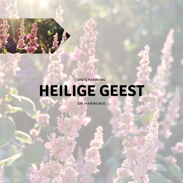 Heilige Geest