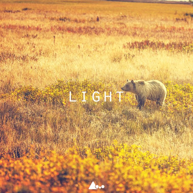 Light