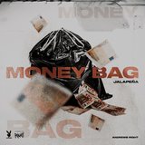 Money Bag