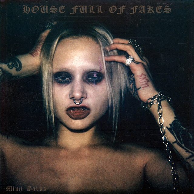 HOUSE FULL OF FAKES