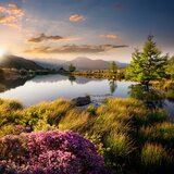 The Comfort Of Silence