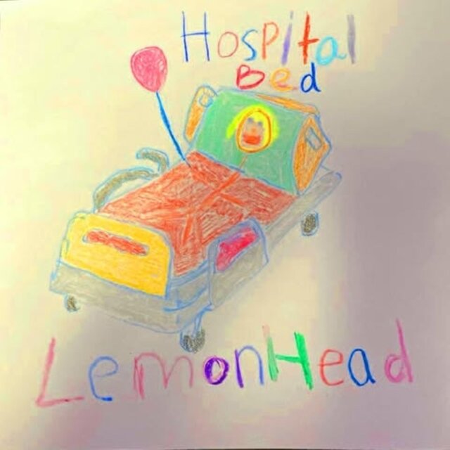 Hospital Bed
