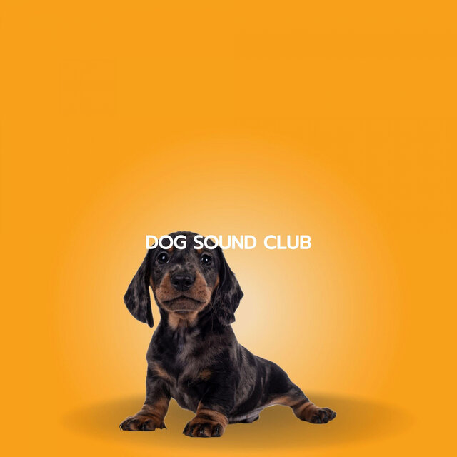 DOG SOUND CLUB