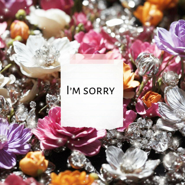 I'm Sorry