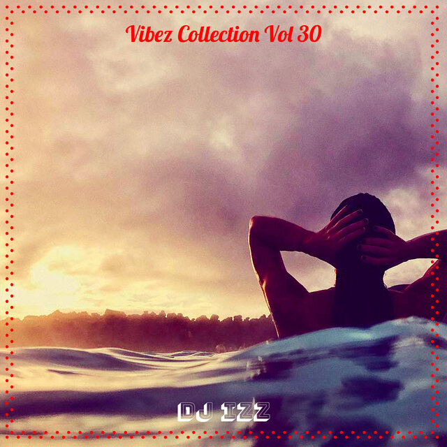 Vibez Collection, Vol. 30