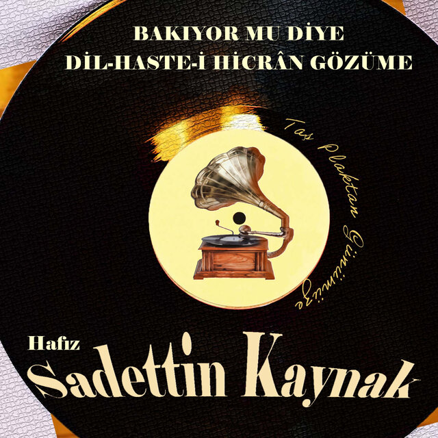 Bakıyor Mu Diye Dil-Haste-İ Hicrân Gözüme (Taş Plaktan Günümüze)