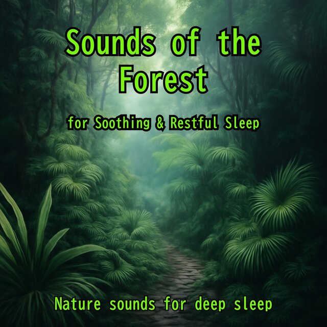 Sounds of the Forest for Soothing & Restful Sleep