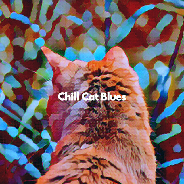 Chill Cat Blues