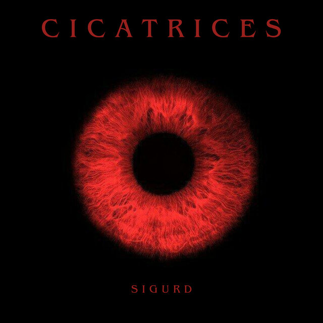 Cicatrices