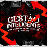 GESTÃO INTELIGENTE