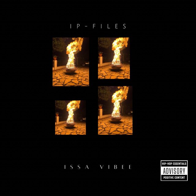 ip files