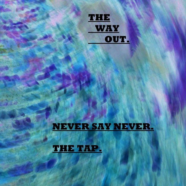 Never Say Never