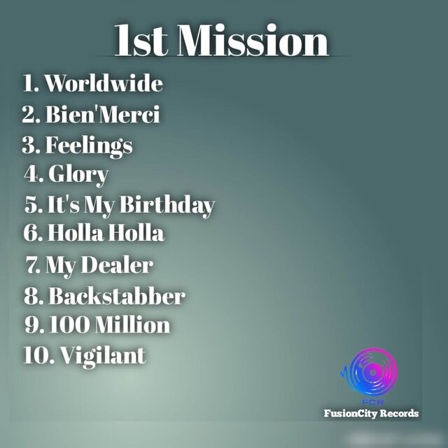 1st Mission