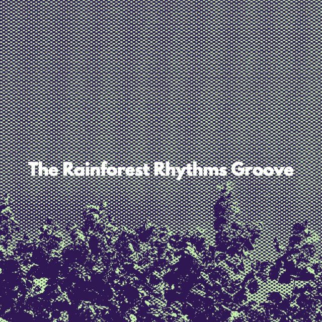 The Rainforest Rhythms Groove