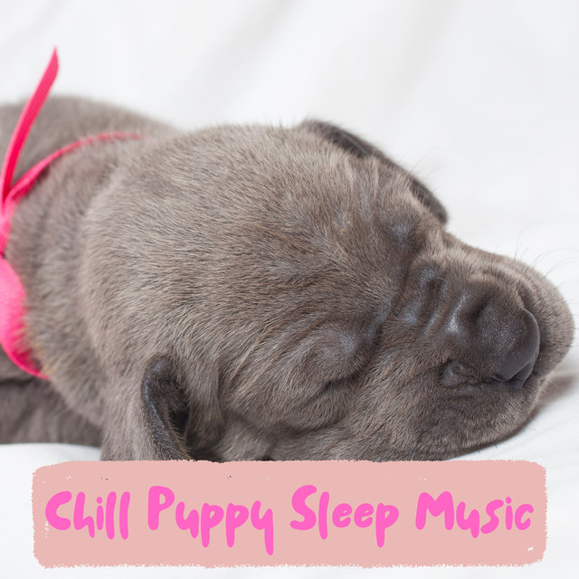 Piano Puppy Music For Gentle Sleep