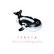 Cover art for album Vem Ser Artista Aqui Fora by Banda Tereza
