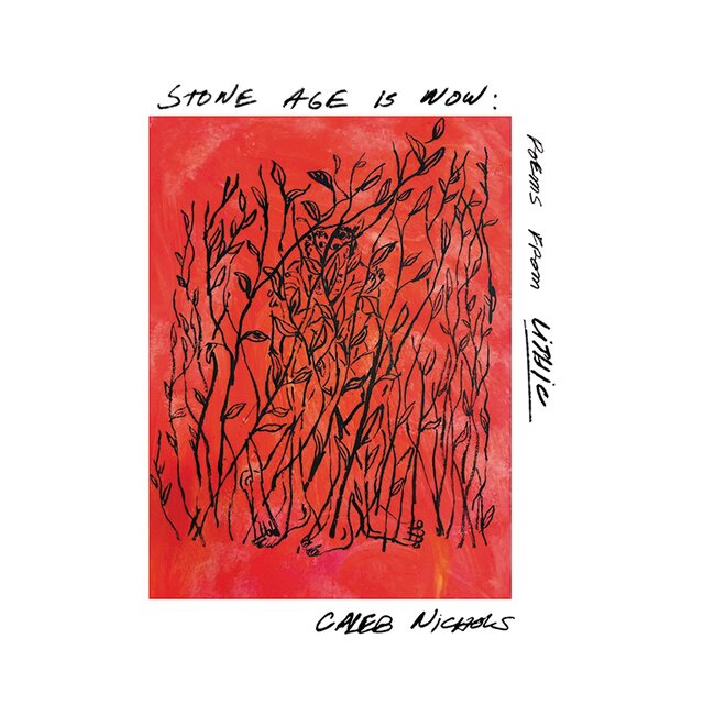 Cover art for album A Feeling of a Feeling of a Feeling by Caleb Nichols