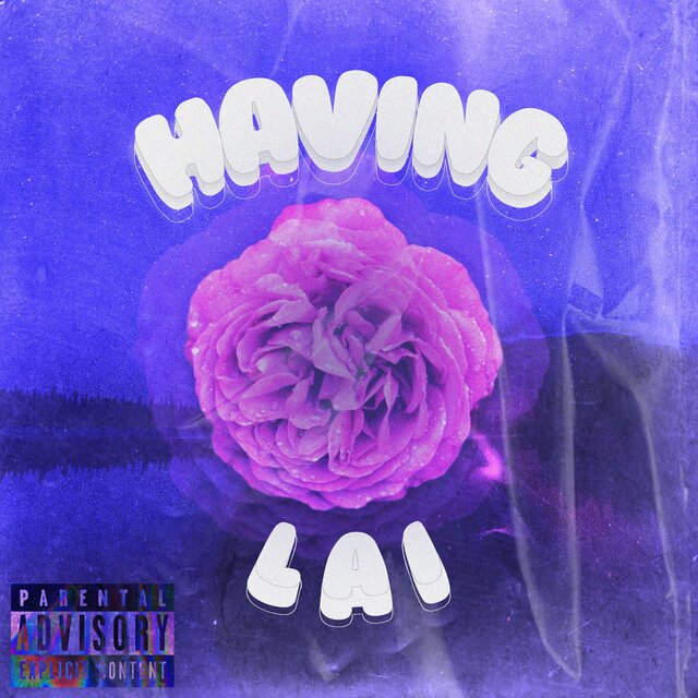 HAVING