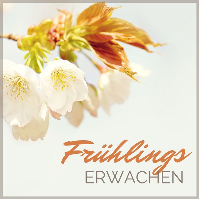 Frühlings Erwachen: Beruhigende Musik mit Naturgeräuschen zum Spirituelles Erwachen und Meditation