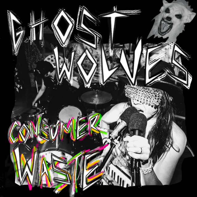 Consumer Waste