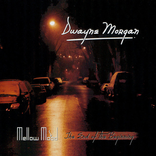 Mellow Mood - The End of the Beginning