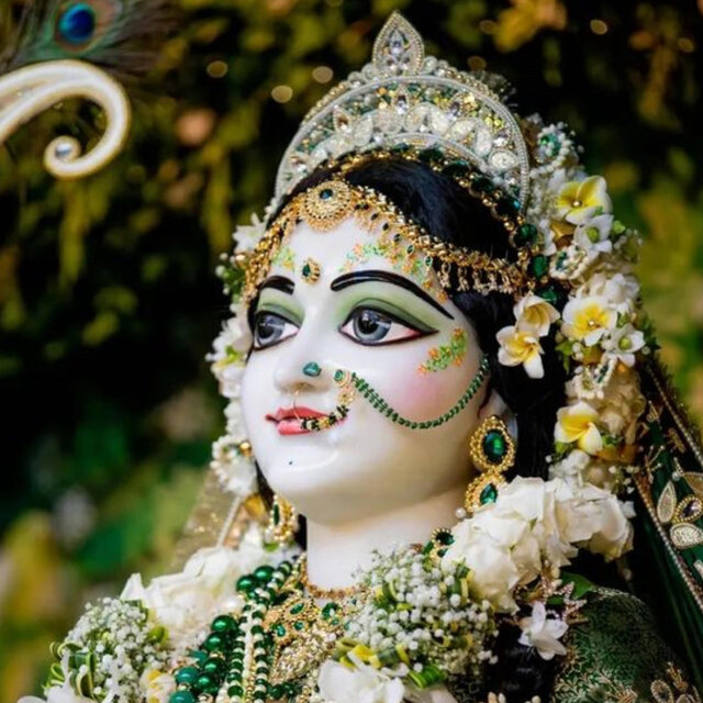 Hum Ho Gaye RadhaRani Ke