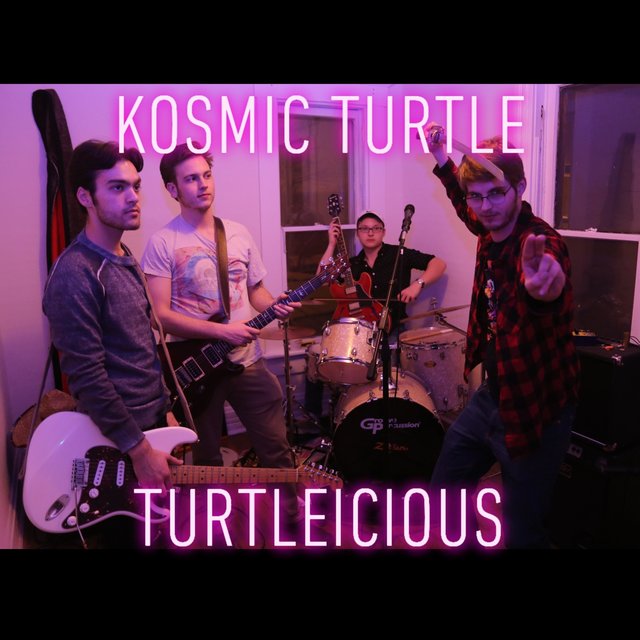 Turtleicious