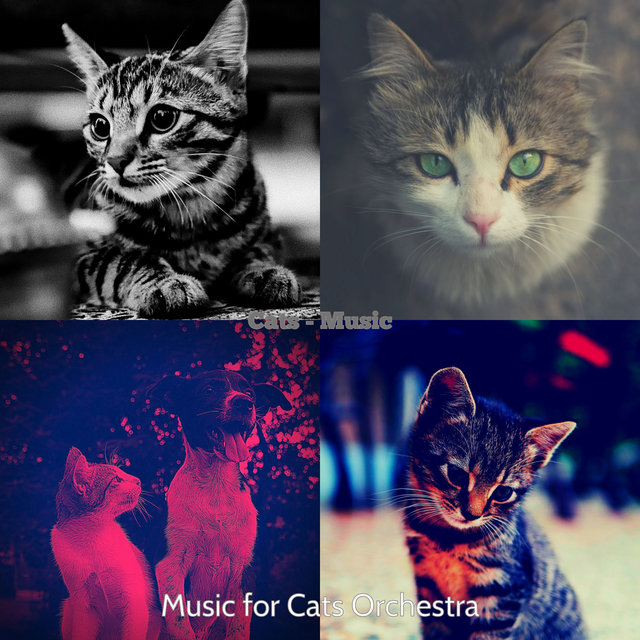 Cats - Music