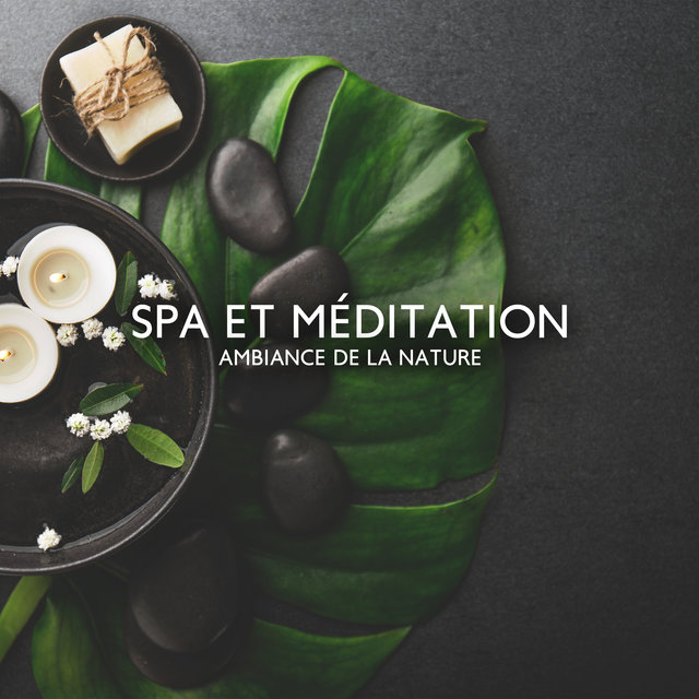 Spa et méditation (Ambiance de la nature, Tranquillité, Après-midi détente)