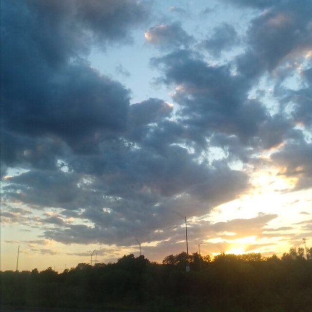 Going Back Home