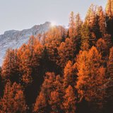 Calming zen sleep noise