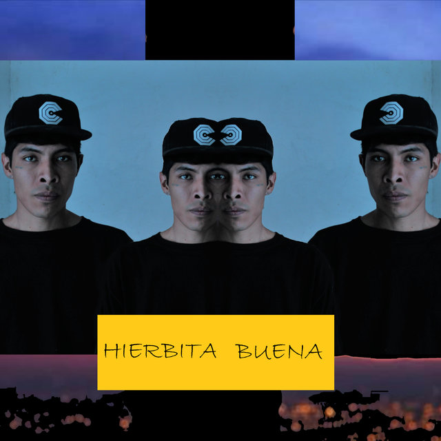 Hierbita Buena