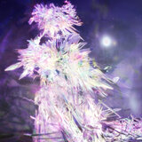 ꕥ (Petal)