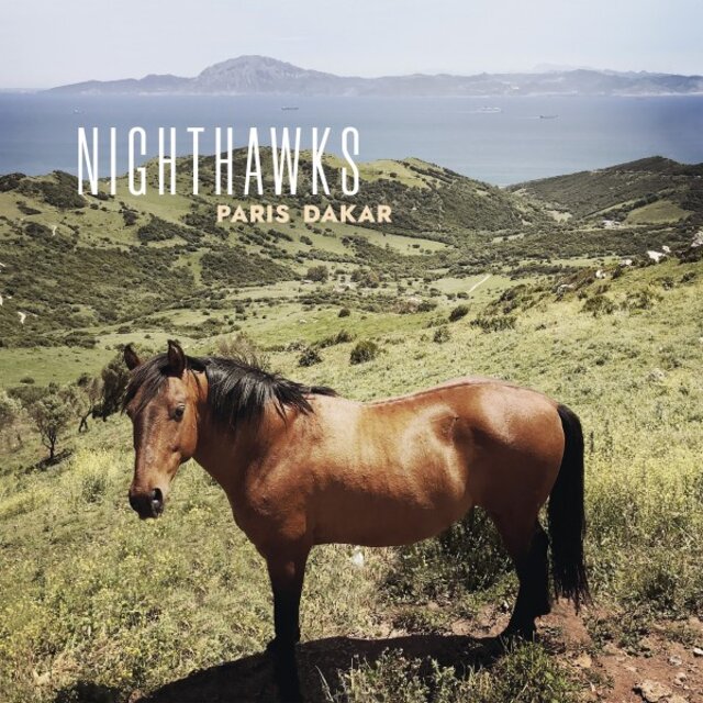 Paris Dakar by Nighthawks on TIDAL