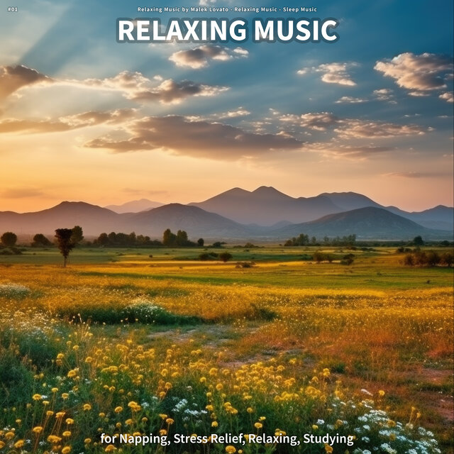#01 Relaxing Music for Napping, Stress Relief, Relaxing, Studying
