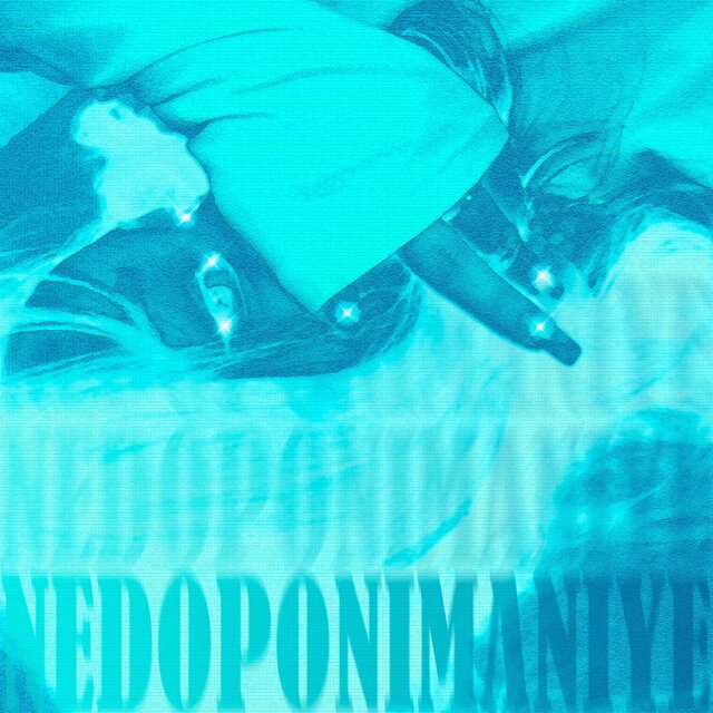 NEDOPONIMANIYE