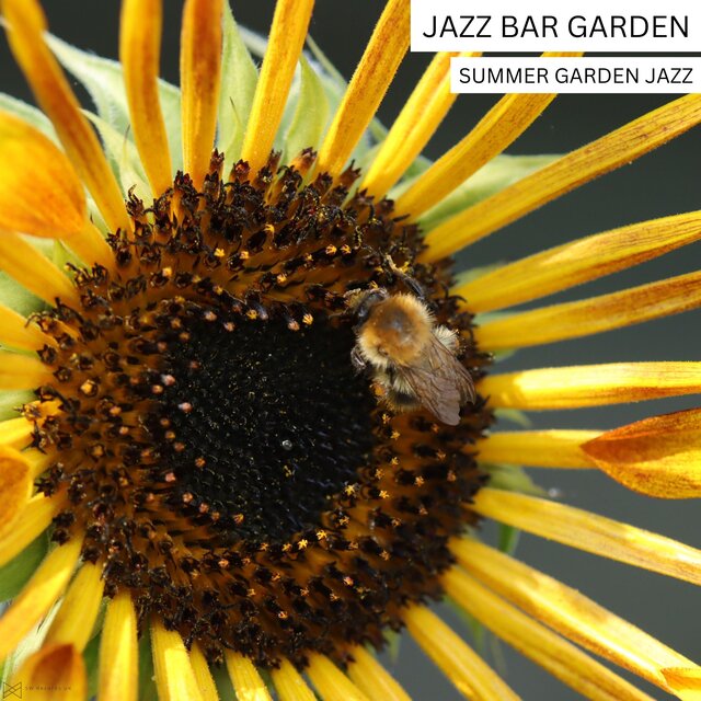 Summer Garden Jazz