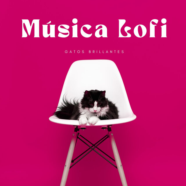 Música Lofi: Gatos Brillantes